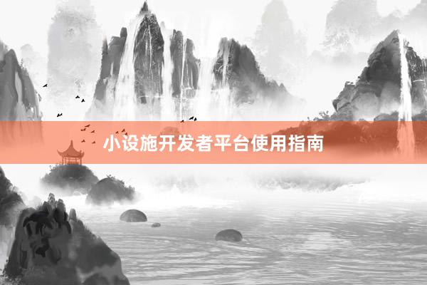 小设施开发者平台使用指南
