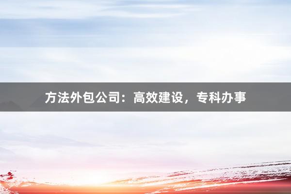 方法外包公司：高效建设，专科办事