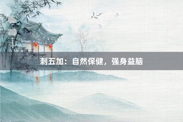 刺五加：自然保健，强身益脑