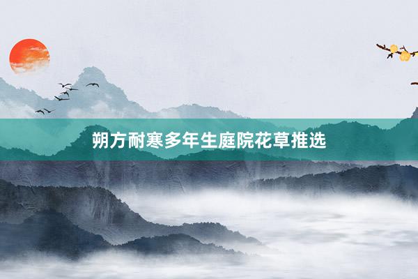 朔方耐寒多年生庭院花草推选